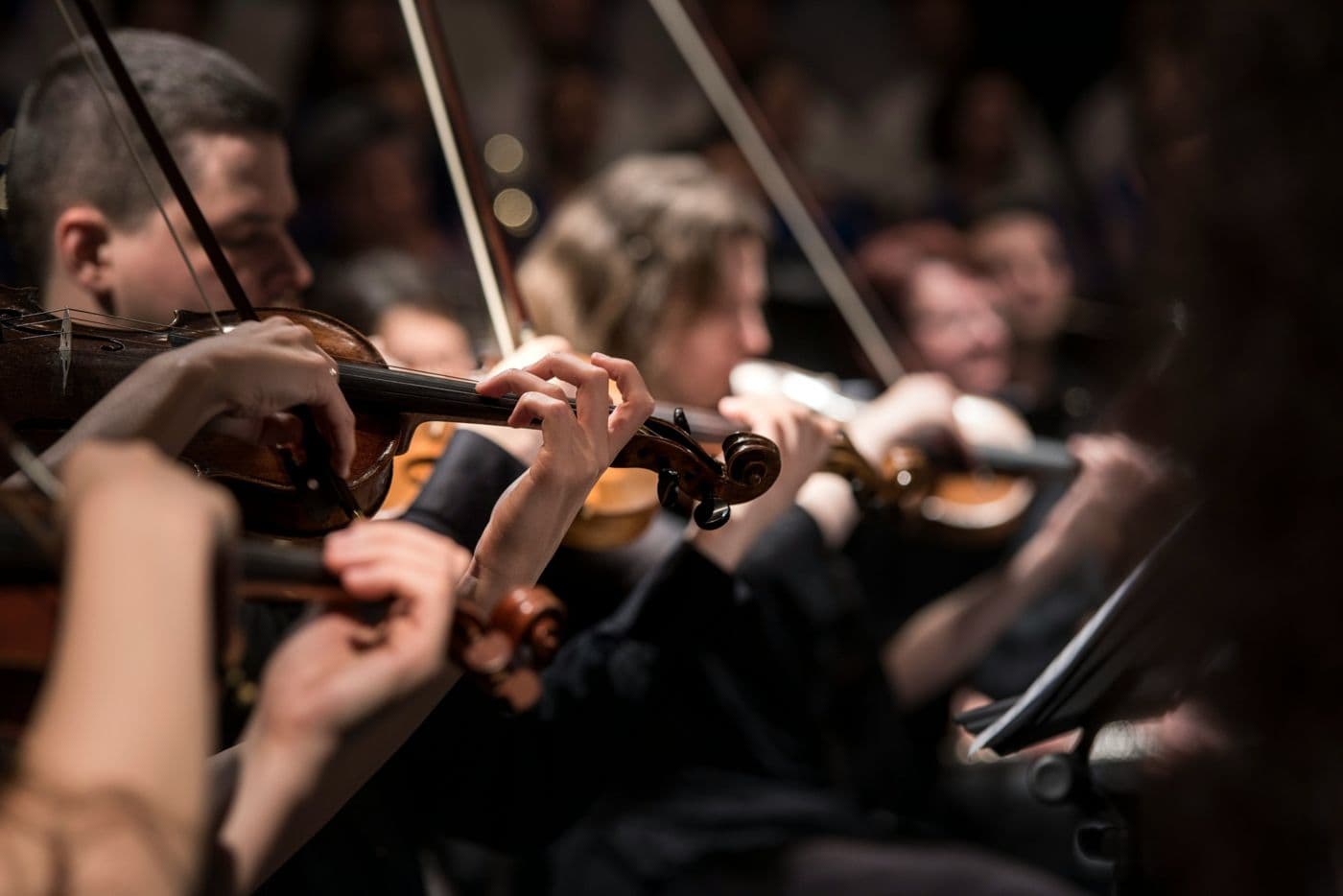 Violonistes d'un ensemble classique en plein concert