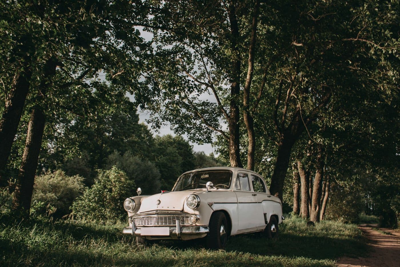 Voiture ancienne blanche garée sous les arbres, au bord d'un chemin
