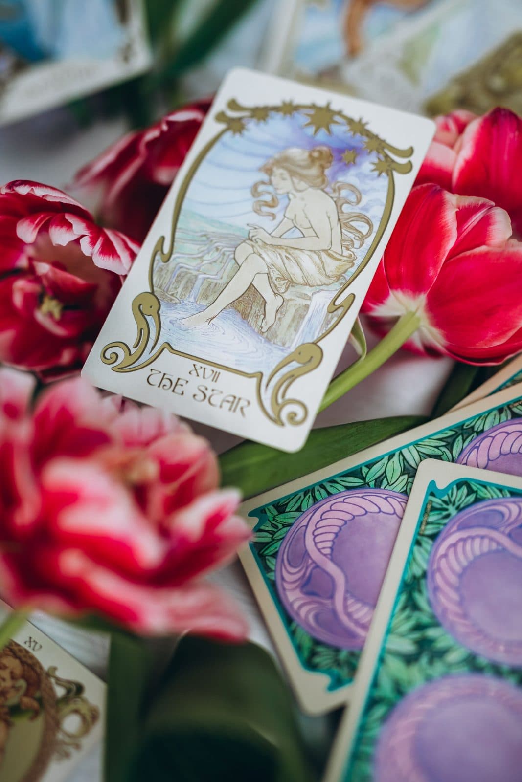 Tarot cards laid among red tulips
